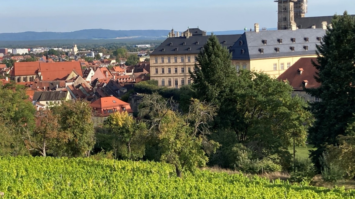 Weinberg in Bamberg