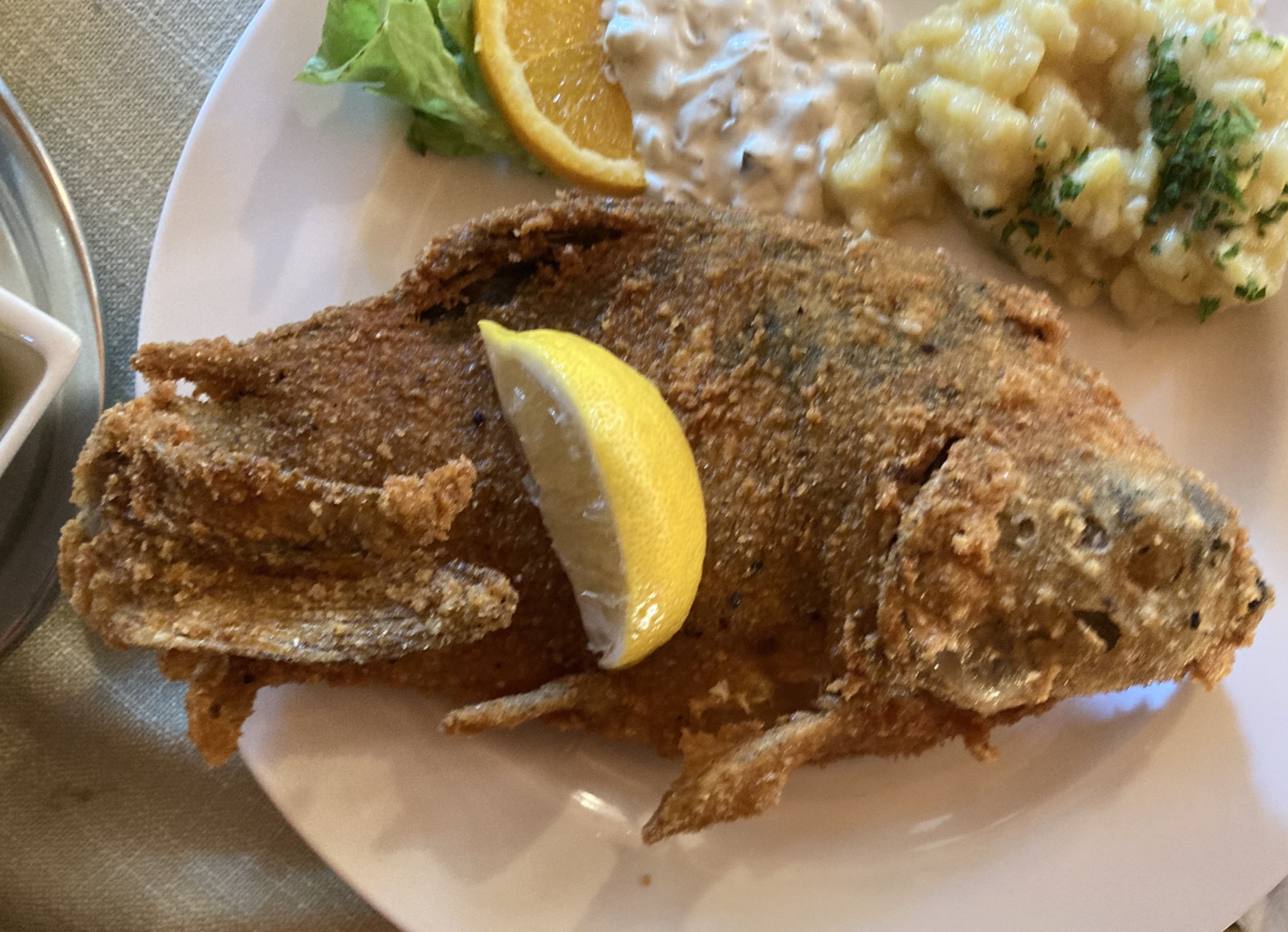 Karpfen und andere Fische TASTY BAMBERG